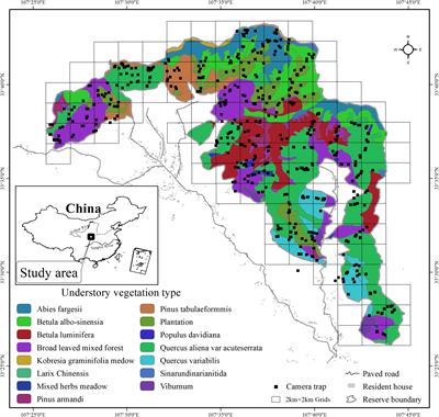 Coexistence patterns of sympatric giant pandas (Ailuropoda melanoleuca) and Asiatic black bears (Ursus thibetanus) in Changqing National Nature Reserve, China